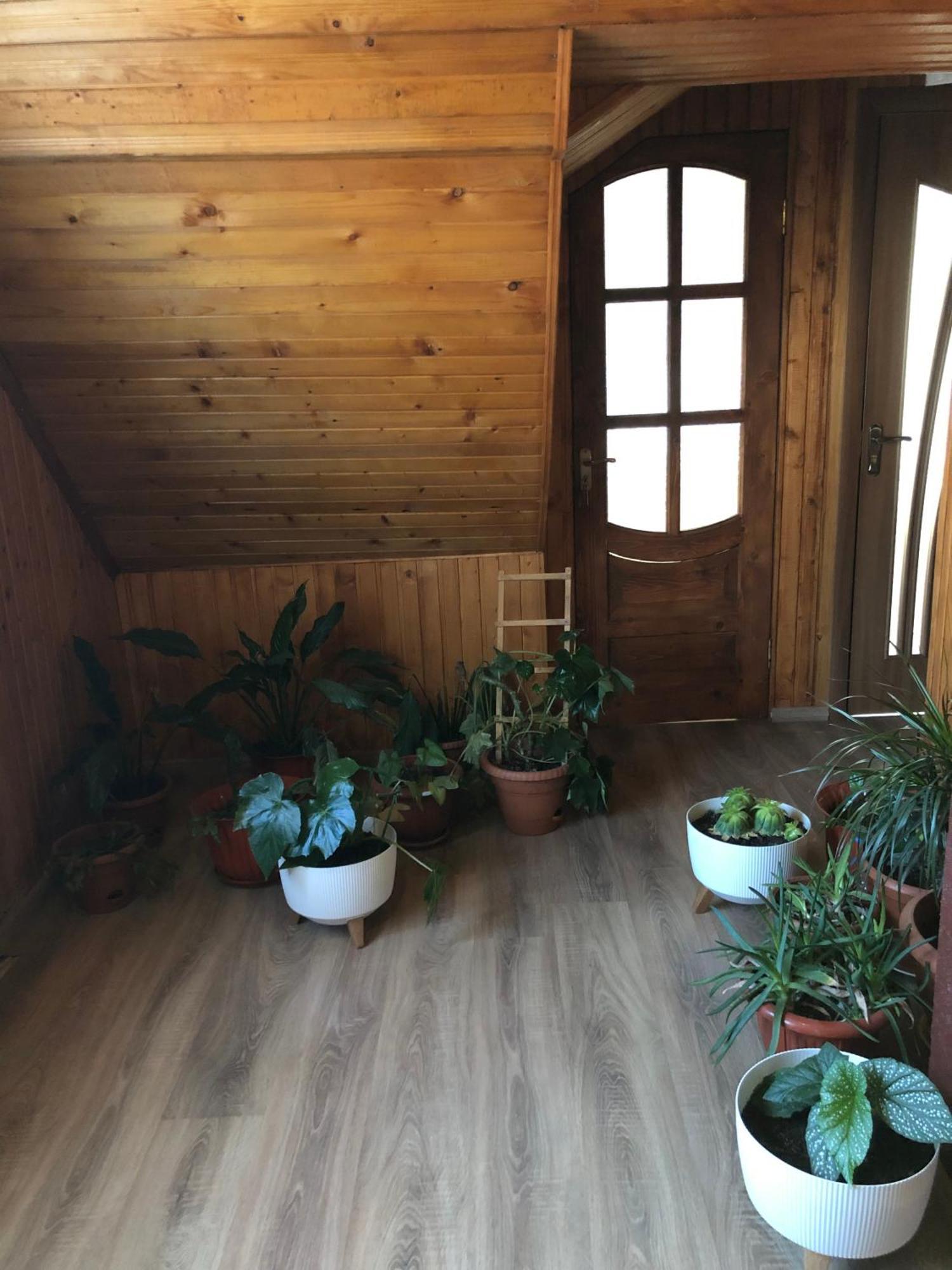 فيلا House Mold لازيتشينا المظهر الخارجي الصورة